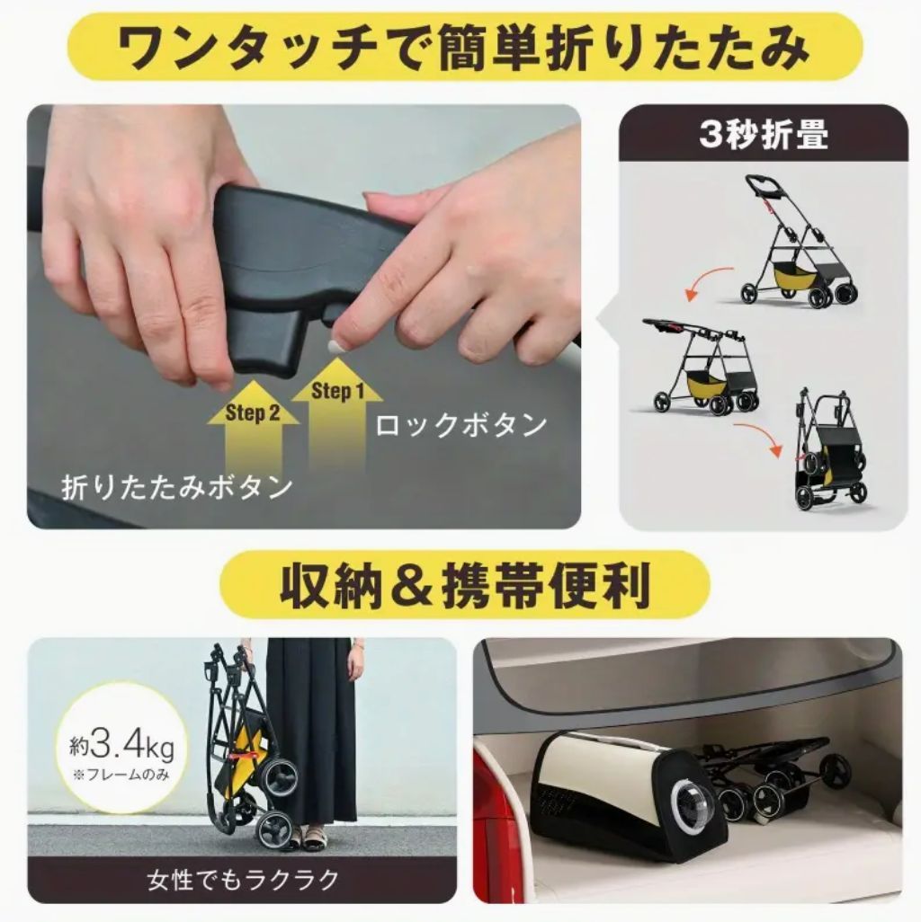 中型猫