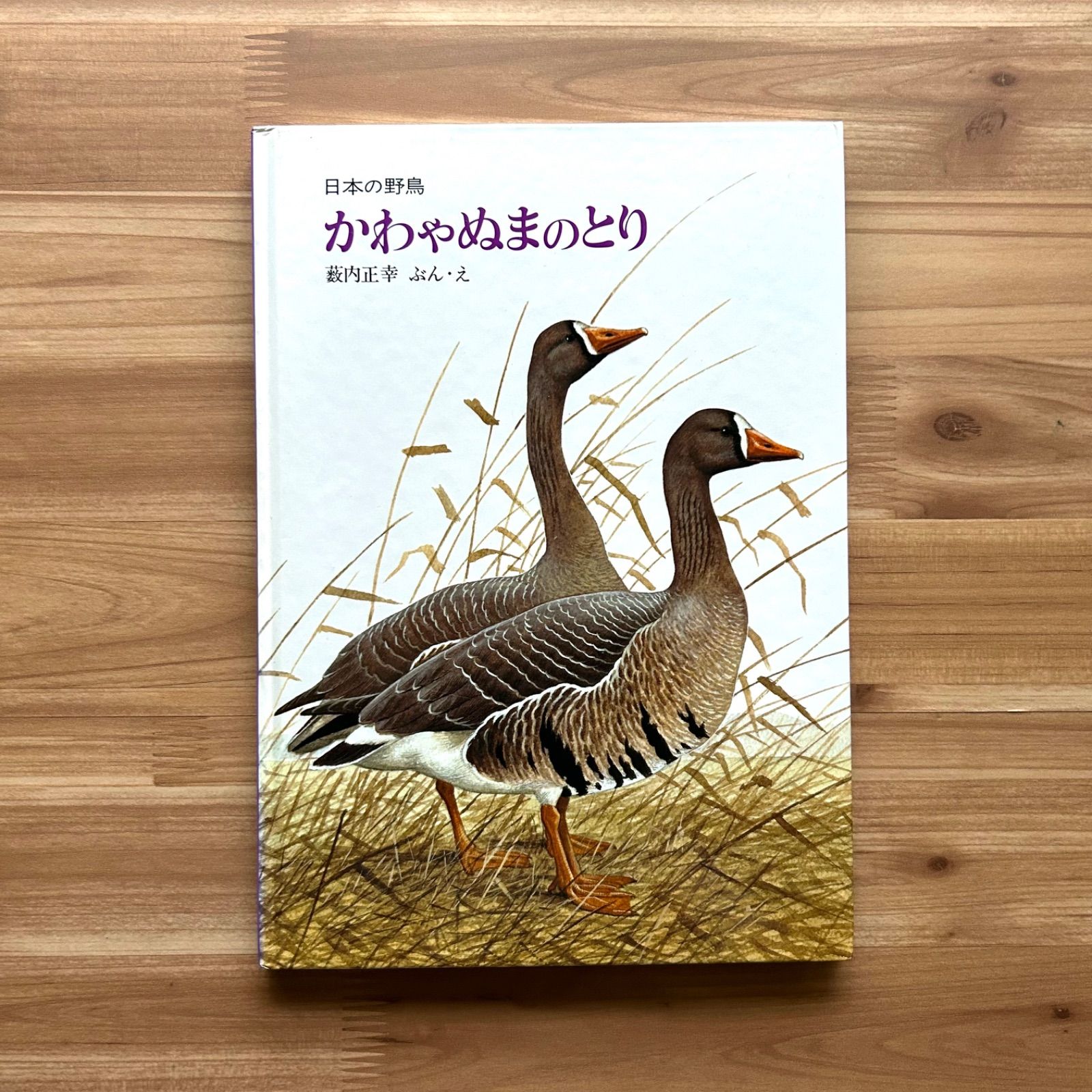 極美品】ペーパーバック版 日本の野鳥セット 薮内正幸 ペーパーバック