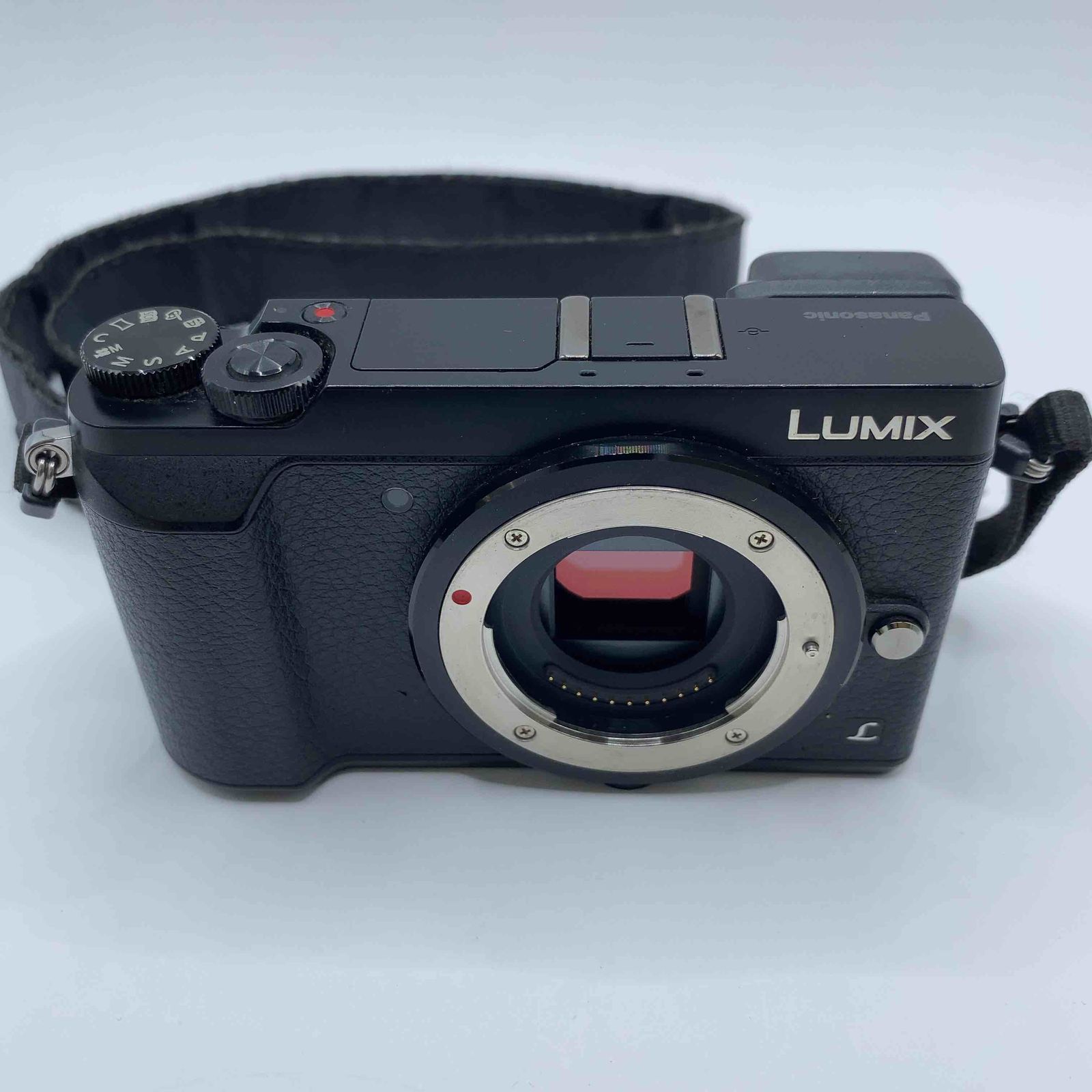 Panasonic