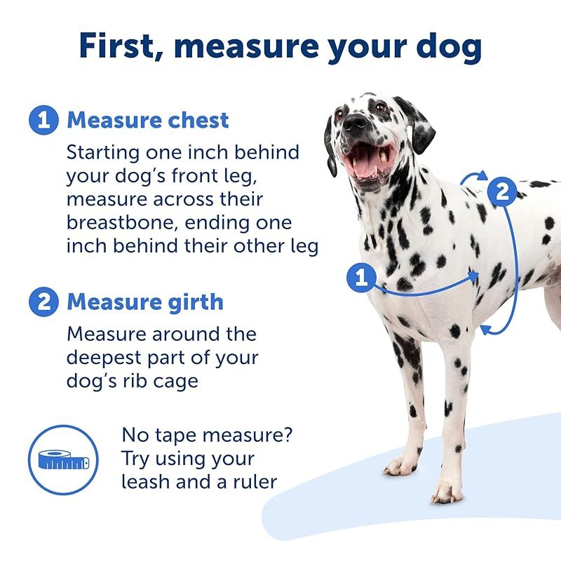 PetSafe