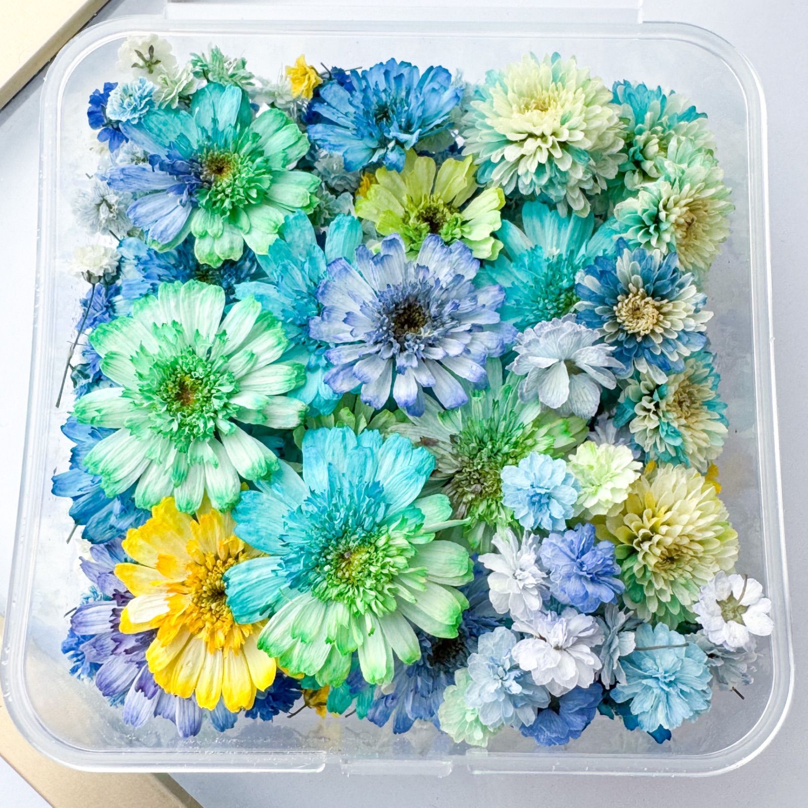 flower box* -blue- ドライフラワー セット - メルカリ