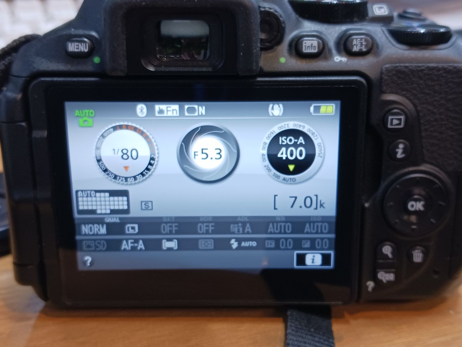 おまけなし！✨ショット数3949回で美品✨Nikon D5600　738-1 ニコン(NIKON)|デジタル一眼レフ|HARDOFFオフモール（オフモ