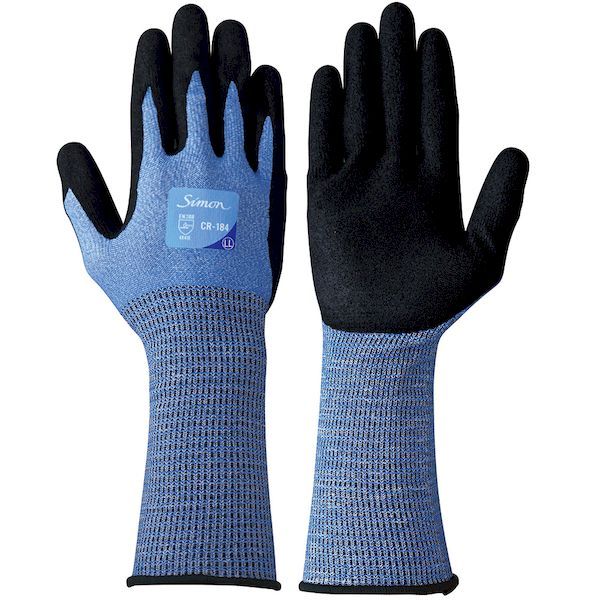 PSソフト パカパカパッションスペシャル