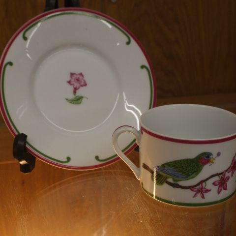 リン チェイス LYNN CHASE オウム parrots of paradise カップ