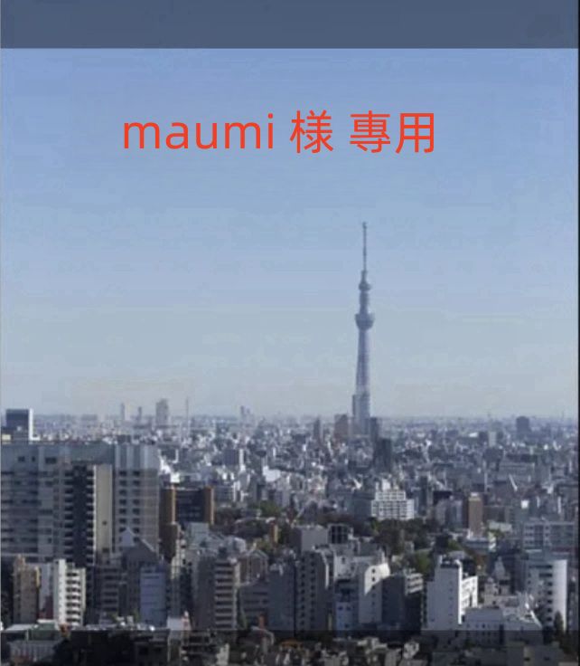 maumi 様 專用