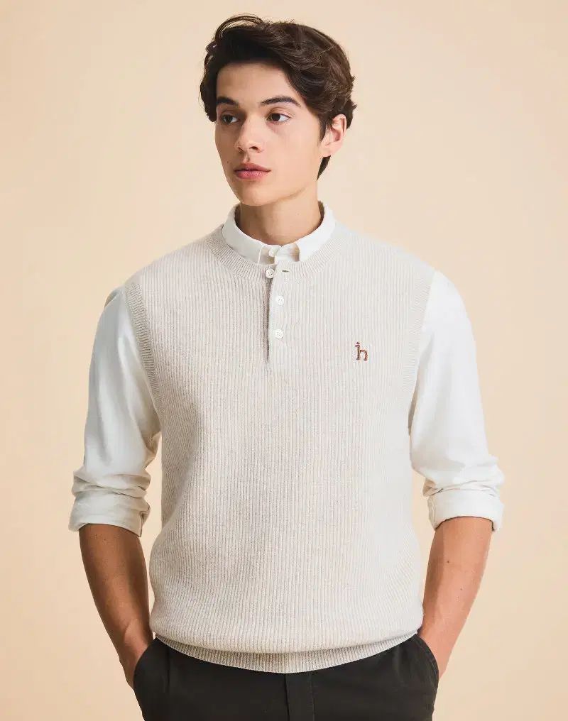 HAZZYS へジス メンズ ウール ベスト 95 110 115 カットソー 細見え