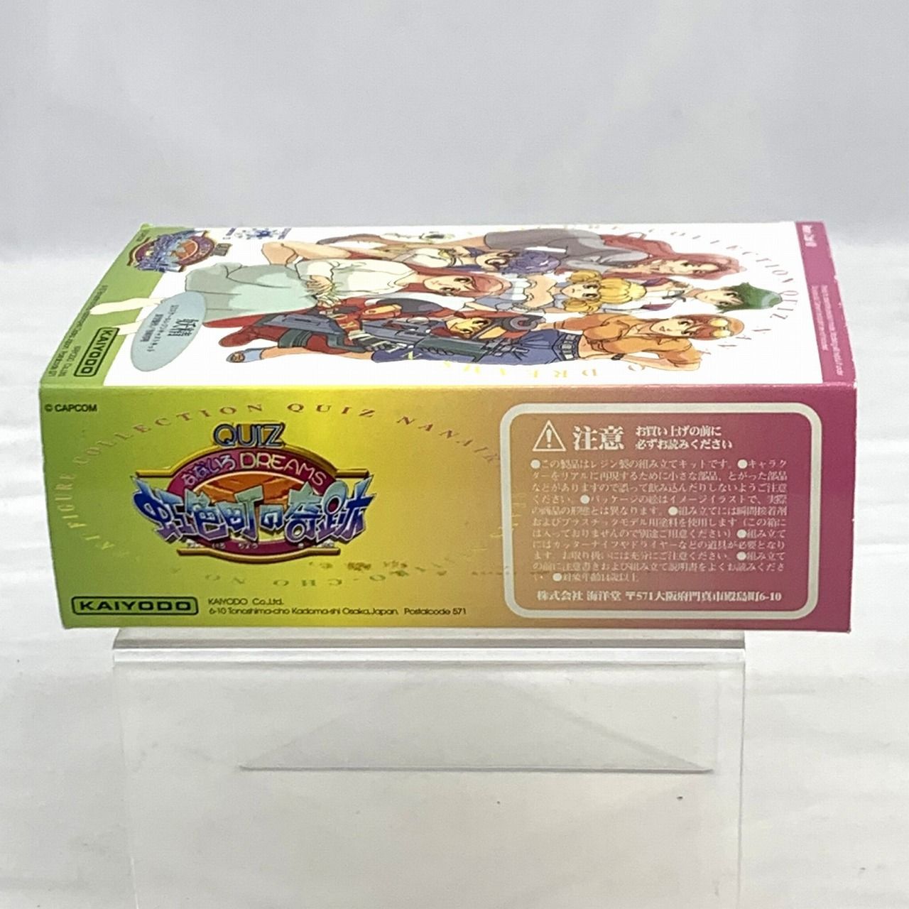 妖精姫 レーン/1：1/レジン キャストキット未組立/ガレージ