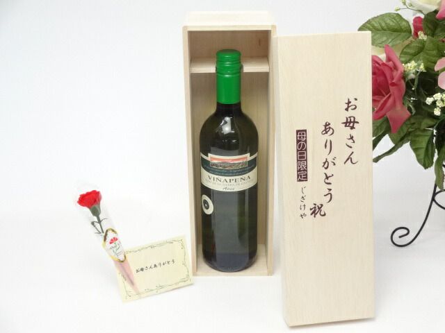 ☆マッチウォーン☆支給品】2020広州恒大ACLHome#25鄧涵文選手