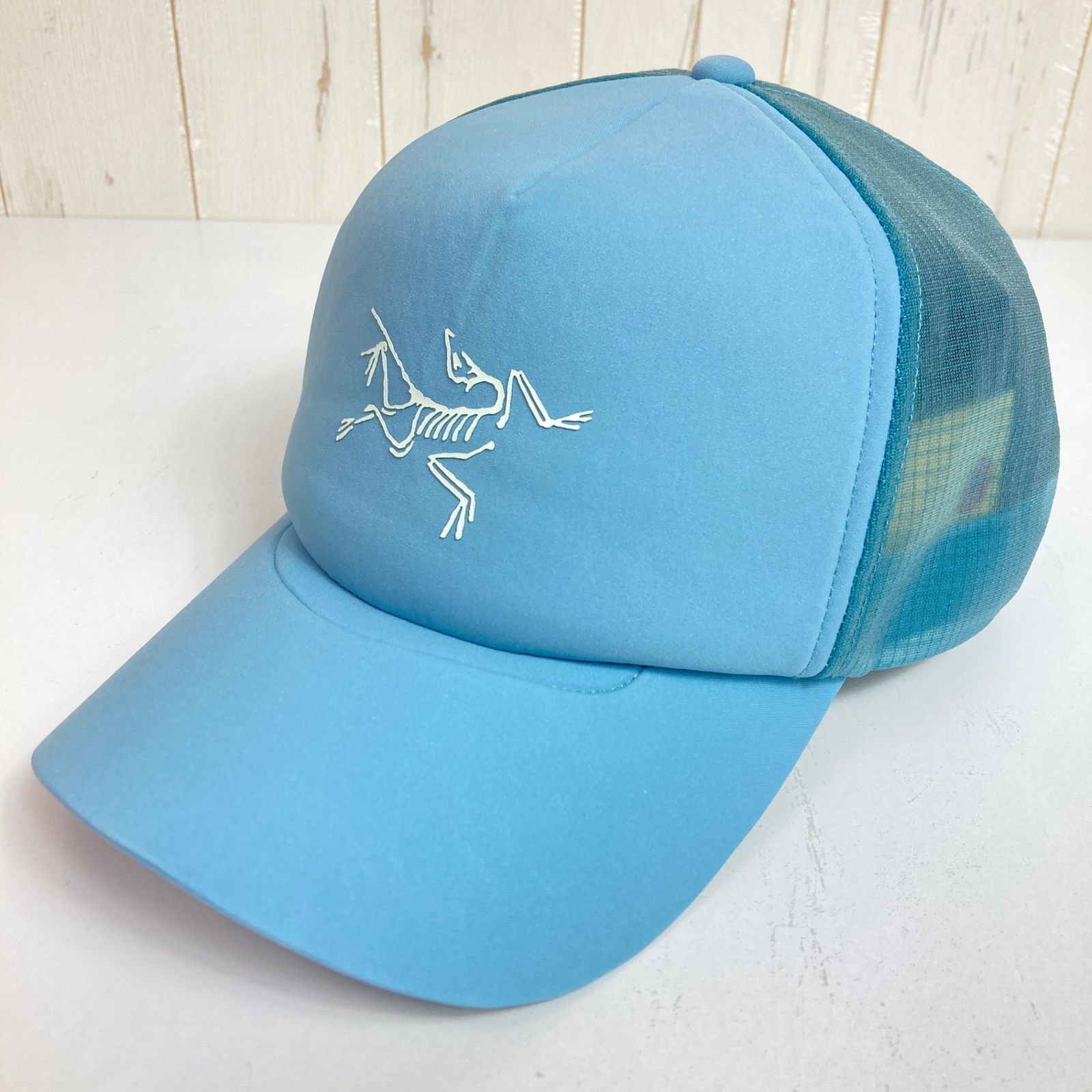 OneSize ブルー系】 Arcteryx ( アークテリクス ) バード