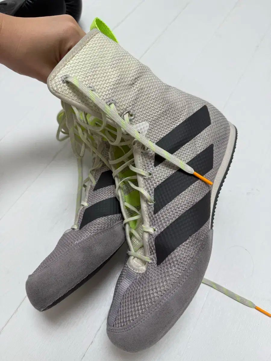 ボクサーホッグ 3