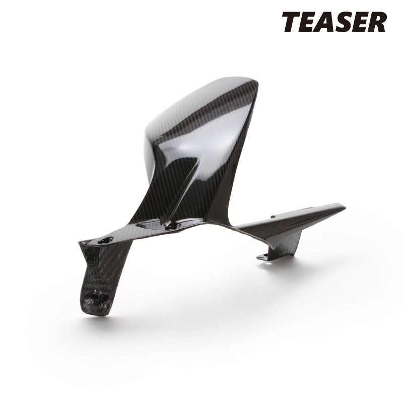 TEASER RFD07G REAR FENDER【DRY CARBON HG】PANIGALE V4/ STREETFIGHTER V4S/ STREETFIGHTER V2 ティーザー カーボン リア フェンダー
