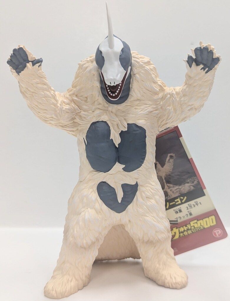 マンモスゴキブリ　標本 甲虫標本専門店 花滝 -HANATAKI- on X: 