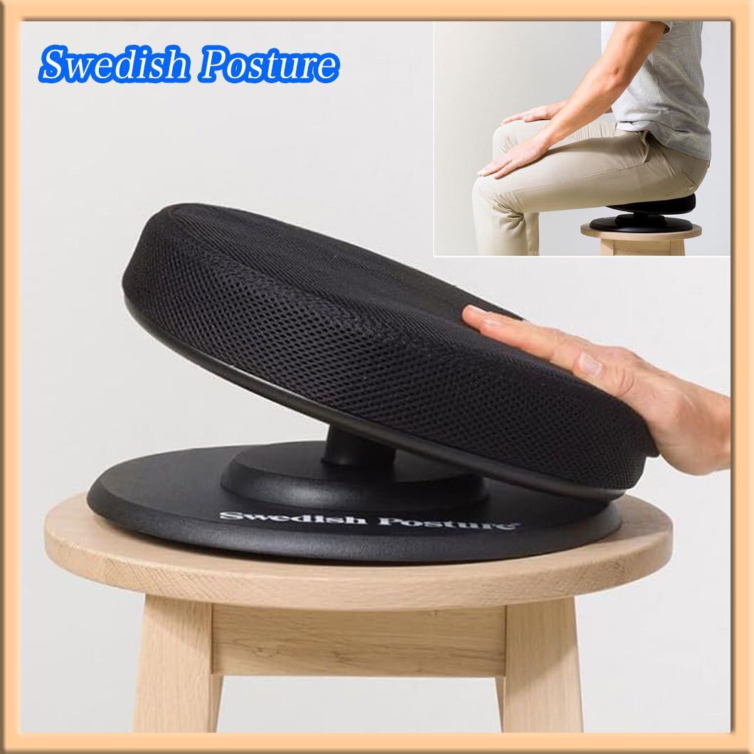 スウェーデン発 Swedish Posture 健康器具 骨盤矯正グッズ バランスシート 骨盤スタビライザー 姿勢 腹筋 体幹運動 必見