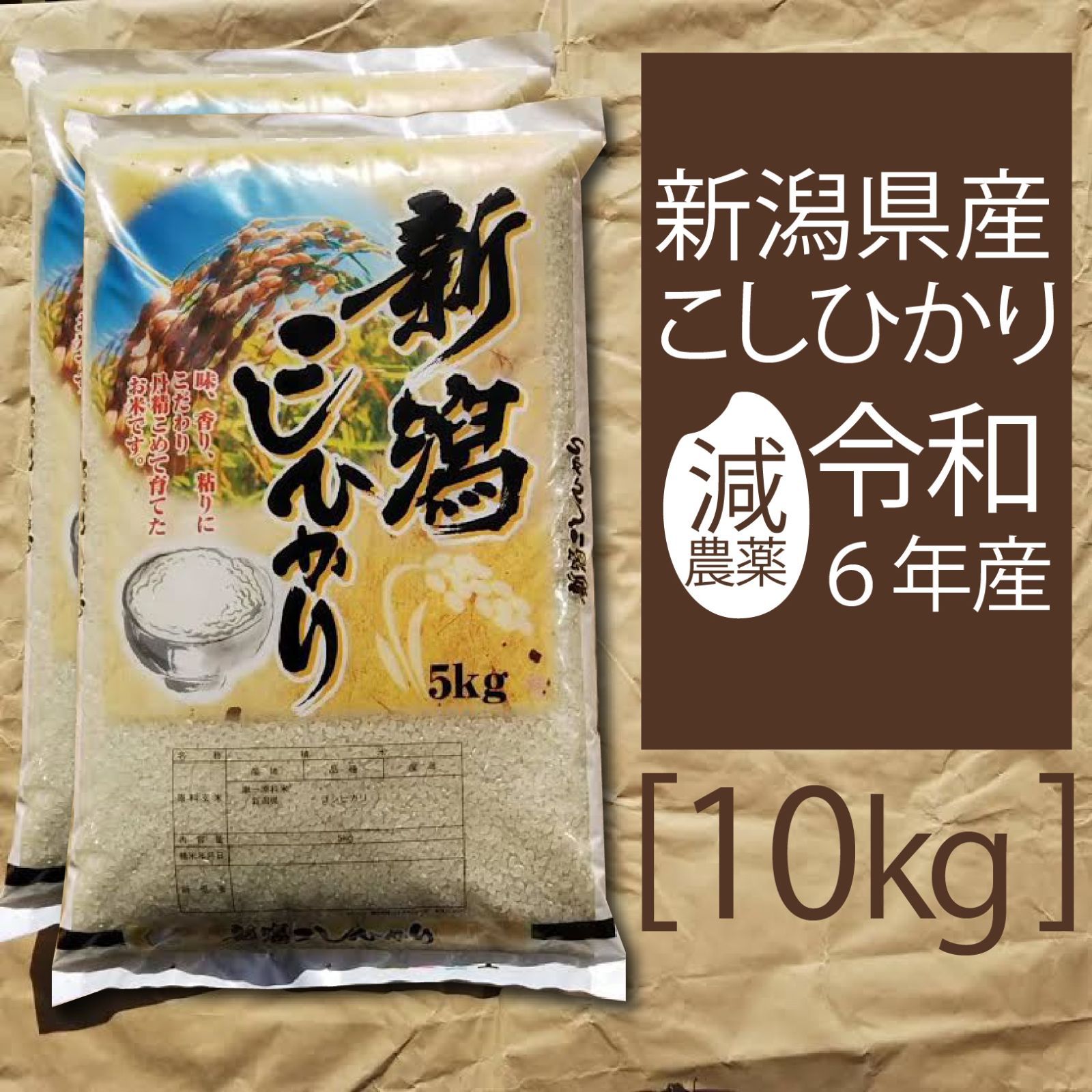 令和6年産 新潟産 コシヒカリ 10kg 10キロ