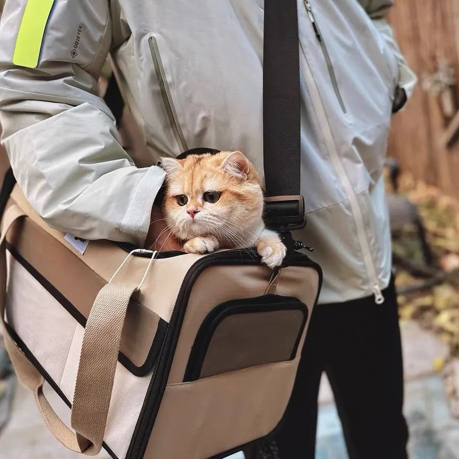 ペットキャリーバッグ 移動可能 外出用バッグ 猫犬用ショルダーバッグ ペットキャリーバッグ 移動可能 外出用バッグ 猫犬用ショルダー