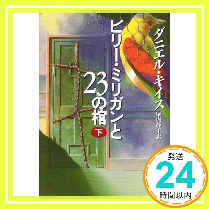 ビリー ミリガンと23の棺 下 Jul 01 1994 ダニエル キイス Keyes Daniel 静子 堀内_03