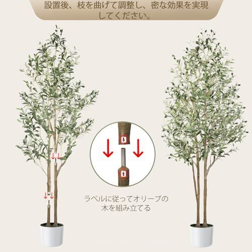 大型光触媒 高さ150cm