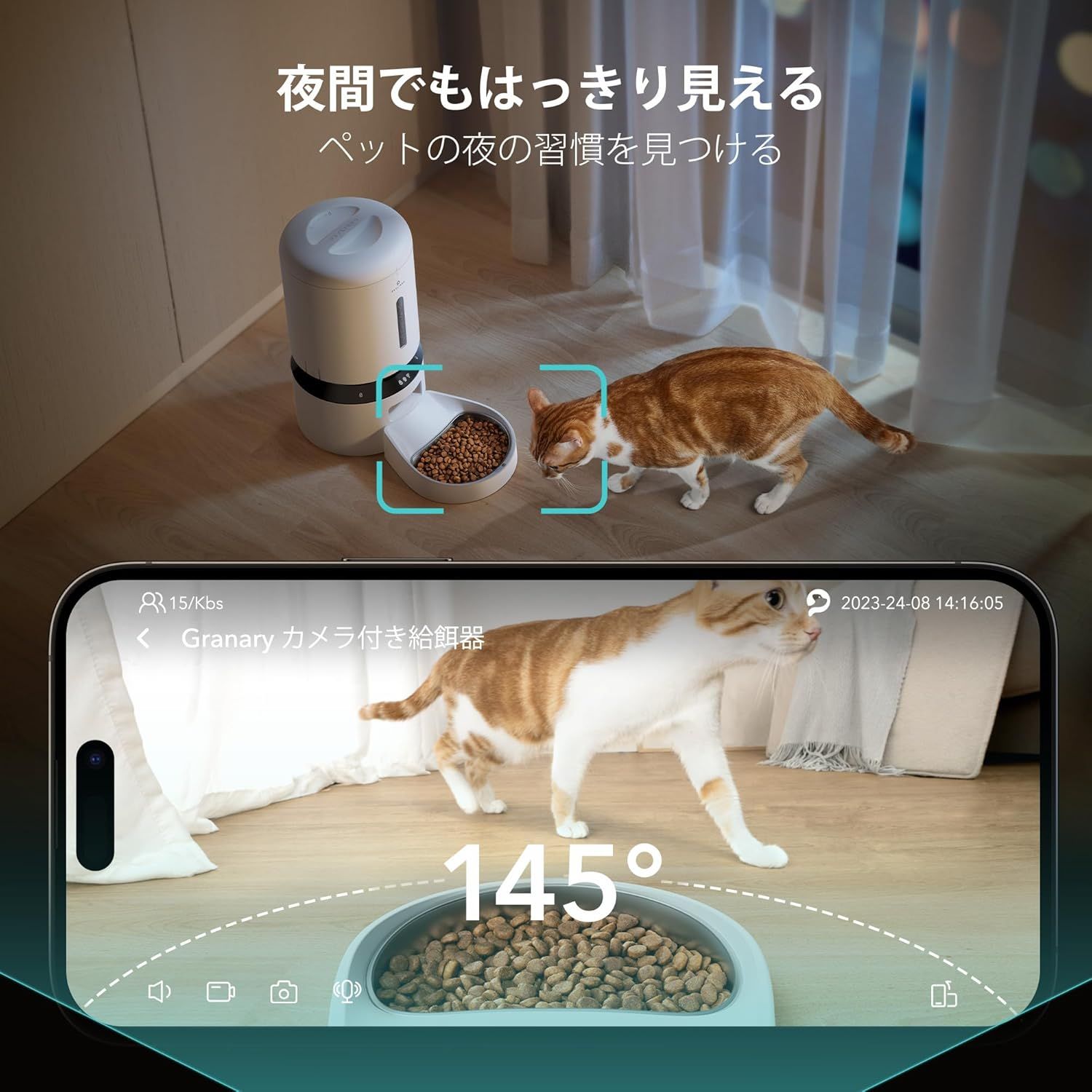 動体検知