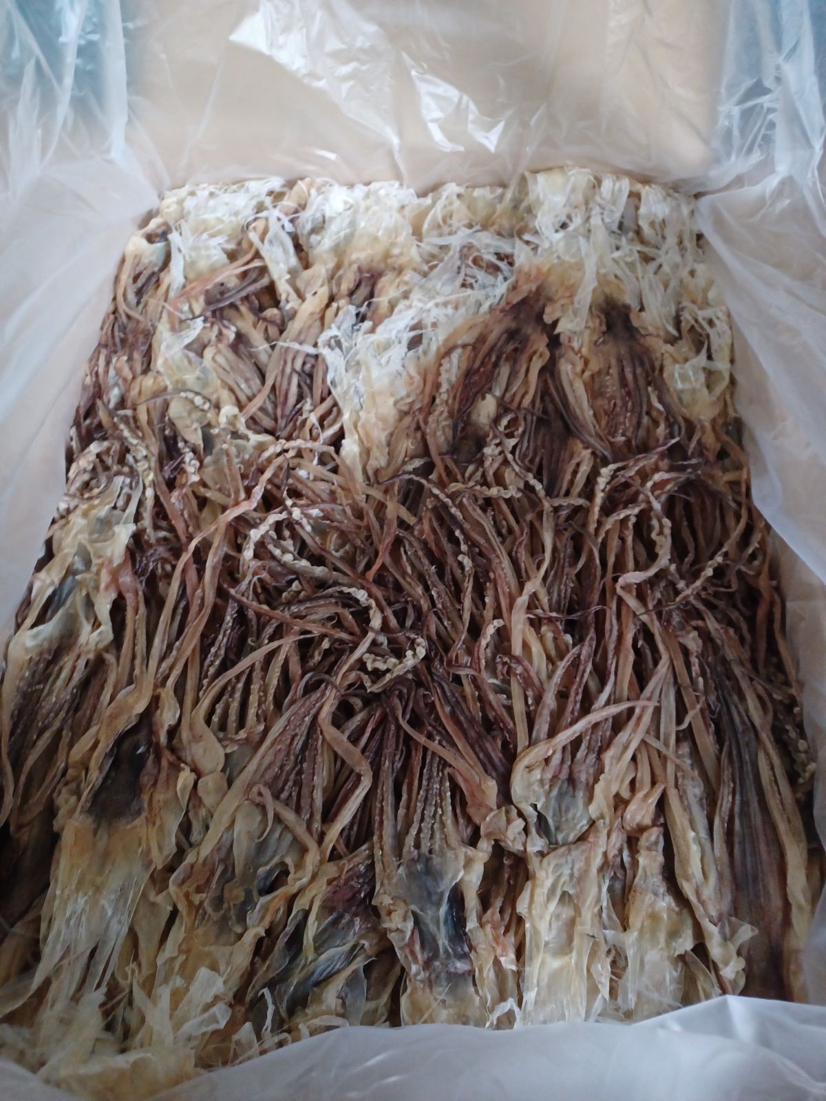 限定特別価格 真イカS足【10kg 】 - メルカリ