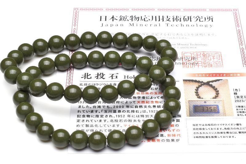 ポルノグラフィティ ライダース収納バッグ schott（ライダース