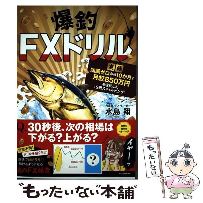 中古】 爆釣FXドリル 【実録】知識ゼロから10か月で月収850万円を達成