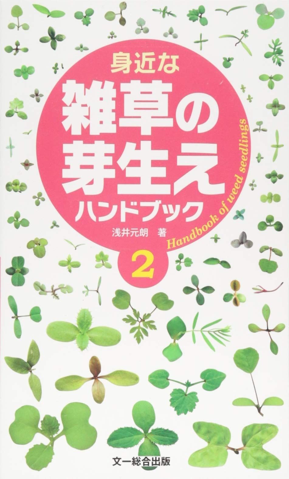 得価，定番 身近な雑草の芽生えハンドブック2 その他