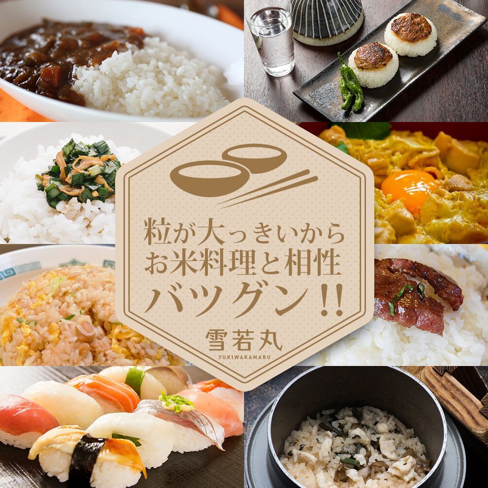 令和6年産 10キロ
