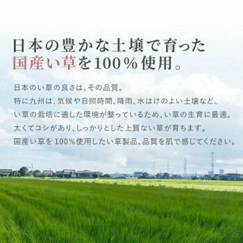 裏貼り