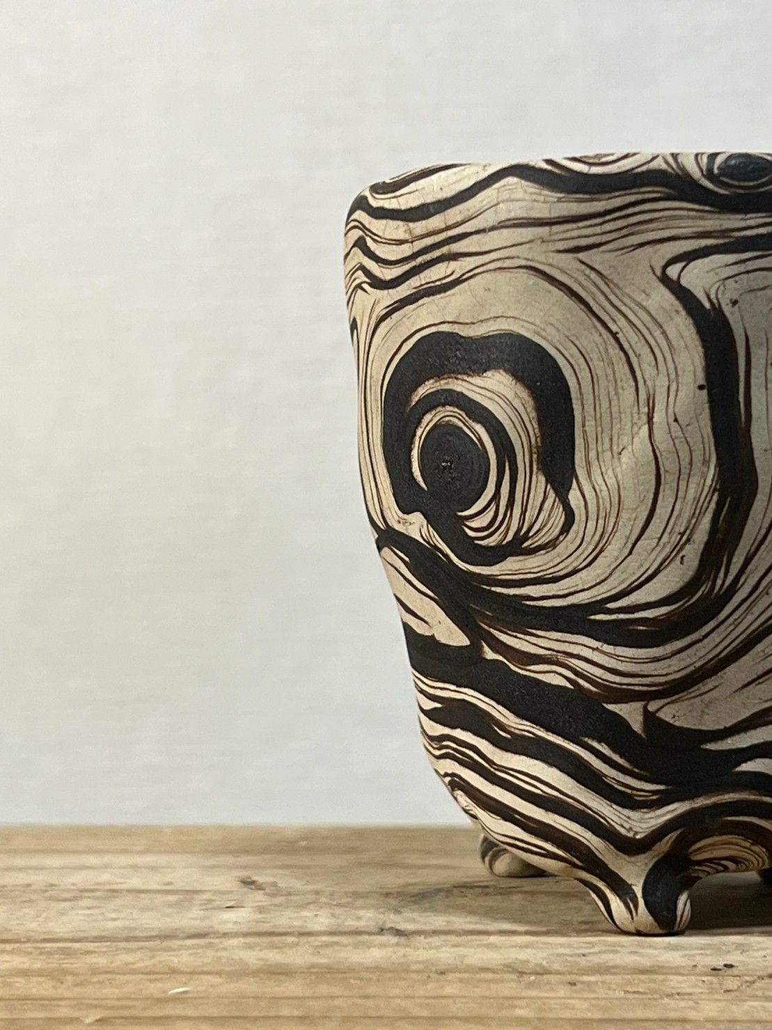 C34.plants monster 鉢【PLANET】検索（グラキリス NEIGHBORHOOD SRL