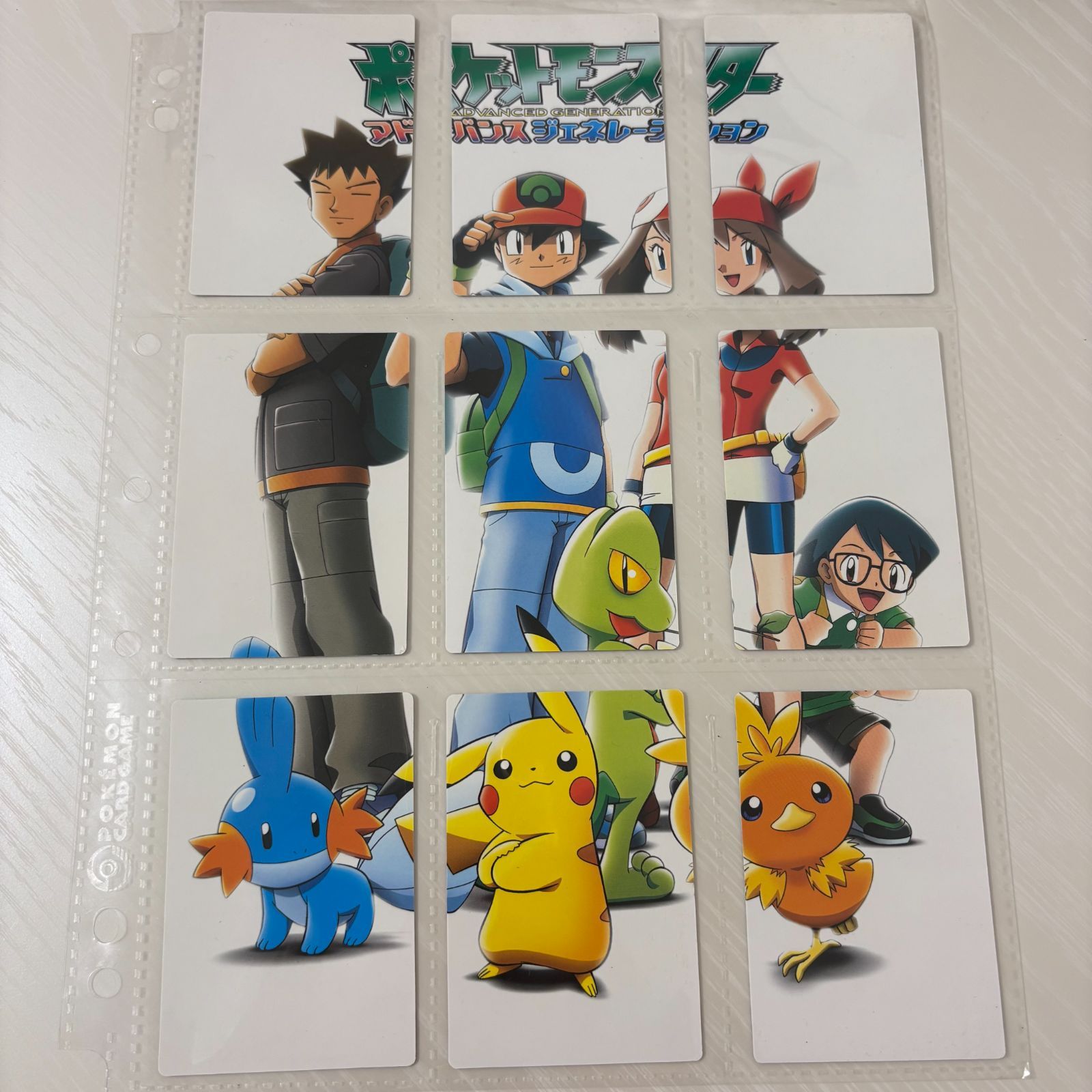 ポケモンカードダス ポケモンずかんカード コンプリートセット