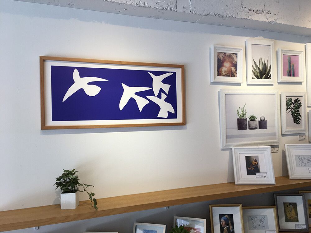 oiseaux