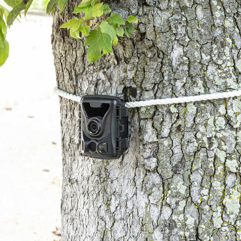 連続録画機能付きトレイルカメラ