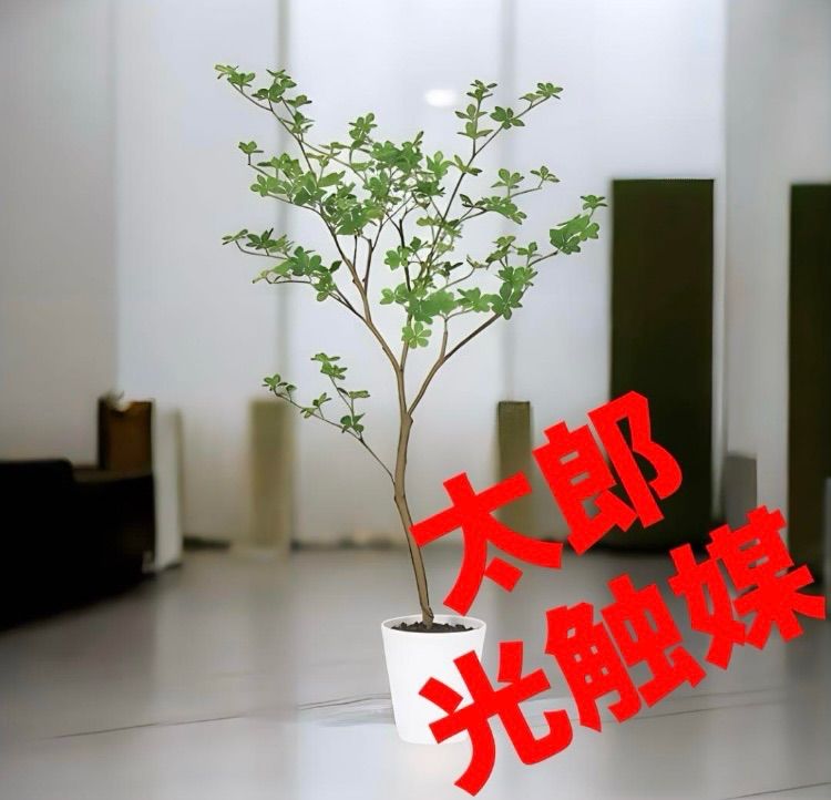 光触媒 人工観葉植物 ウォールグリーン フェイクグリーン 光触媒 人工観葉植物 ウォールグリーン フェイクグリーン