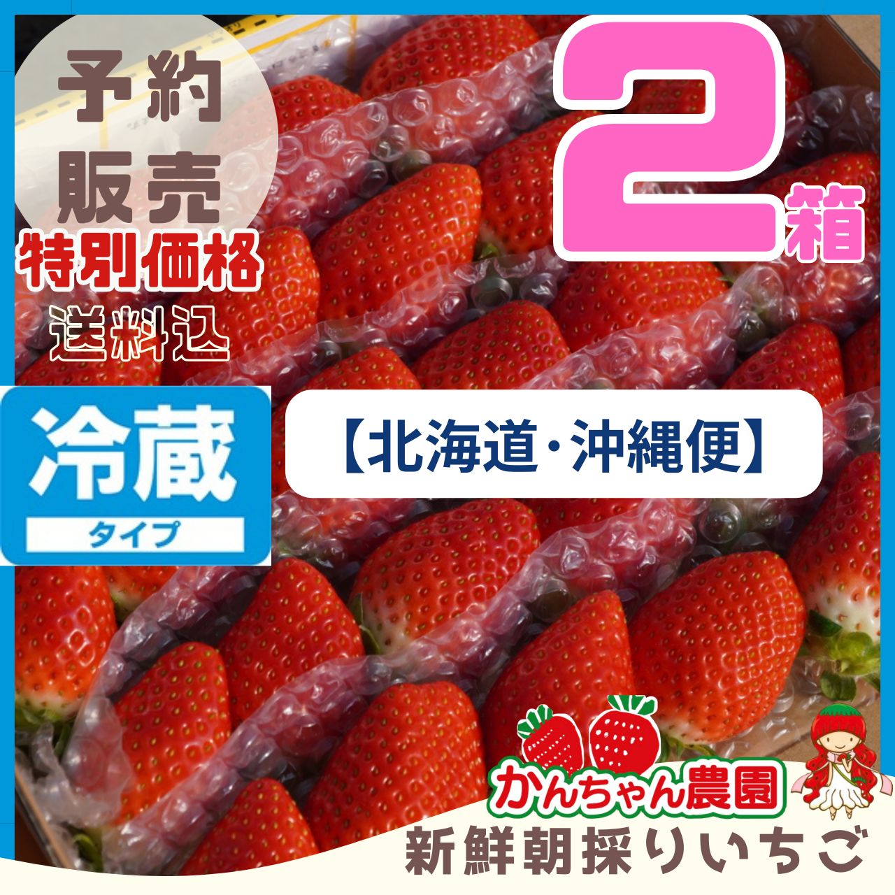 特大‼️新鮮朝採りいちご 特大‼️新鮮朝採りいちご 【公式通販】