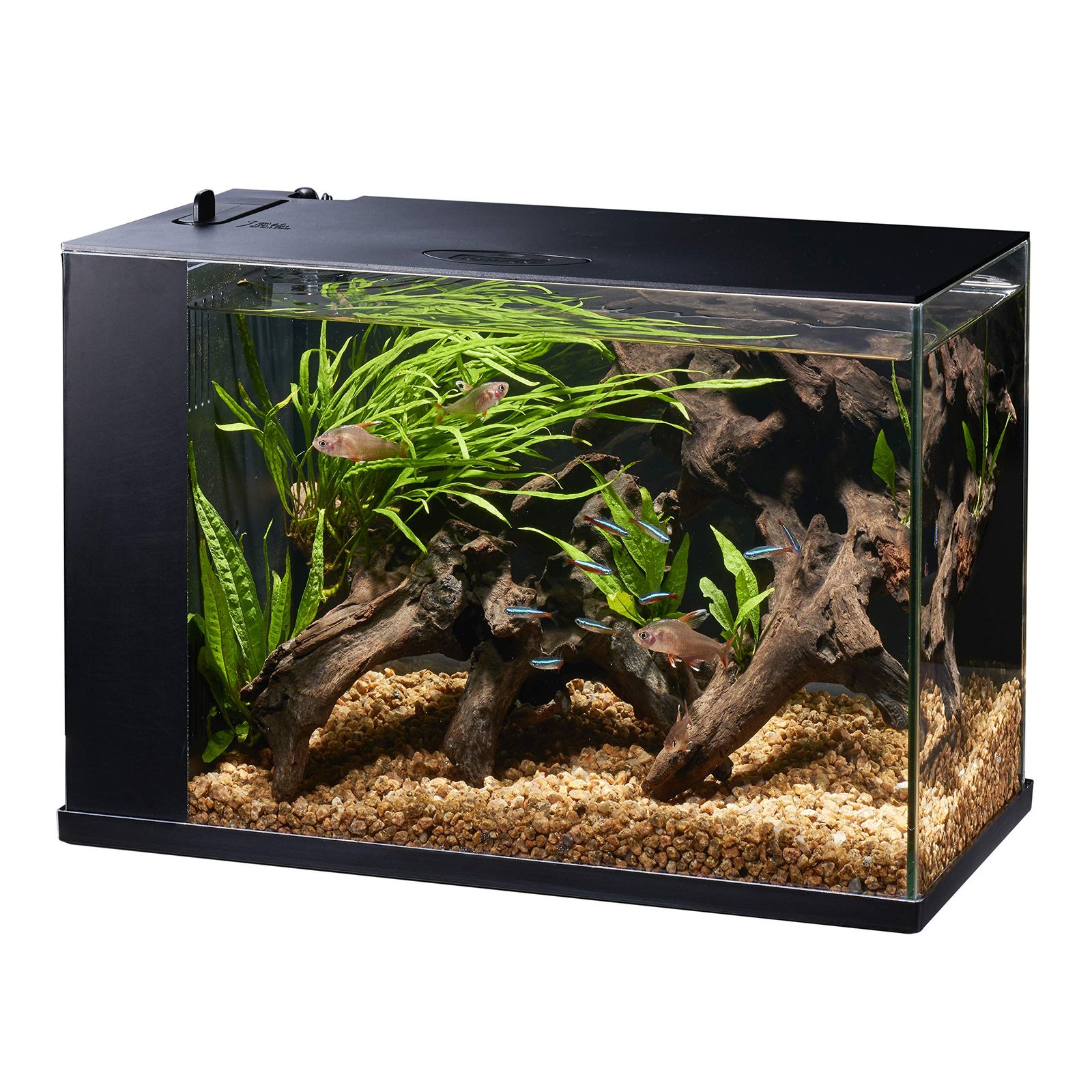 ジェックス GEX AQUARIUM ラクテリア ガラス 水換え簡単水槽 サカナ フィルター LED付き W34×D17.5×H24cmブラック