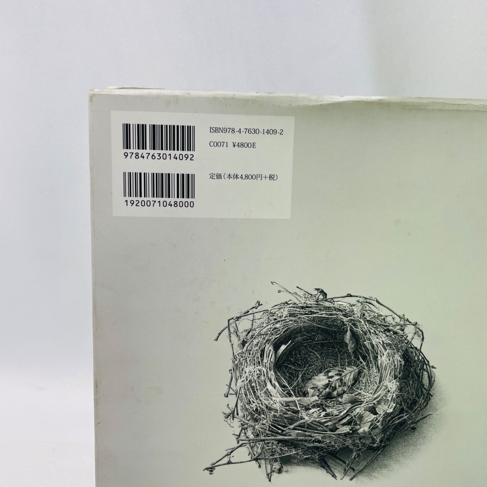 聖なるもの 野田弘志画集/求龍堂/野田弘志（大型本） 求龍堂：聖なるもの 野田弘志画集