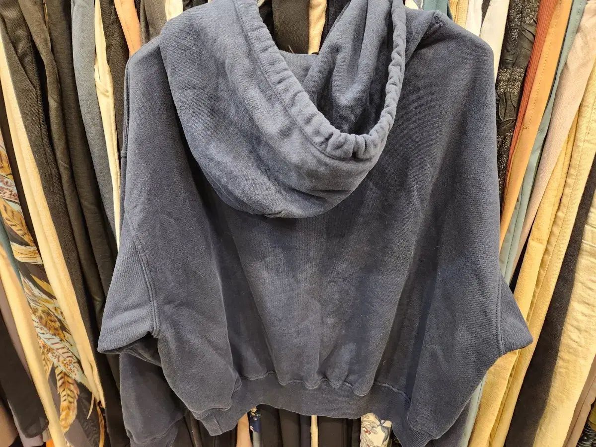 フレンチテリー フーディー