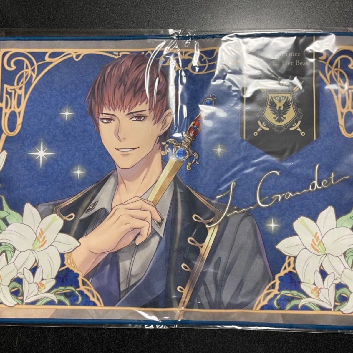 イケメンシリーズ ちゃれくじ ランチョンマット まとめ売り イケメン