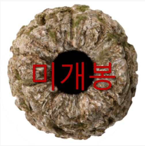 未開封 焦げた地球 （ Scorched Evrth ） ー JA WA