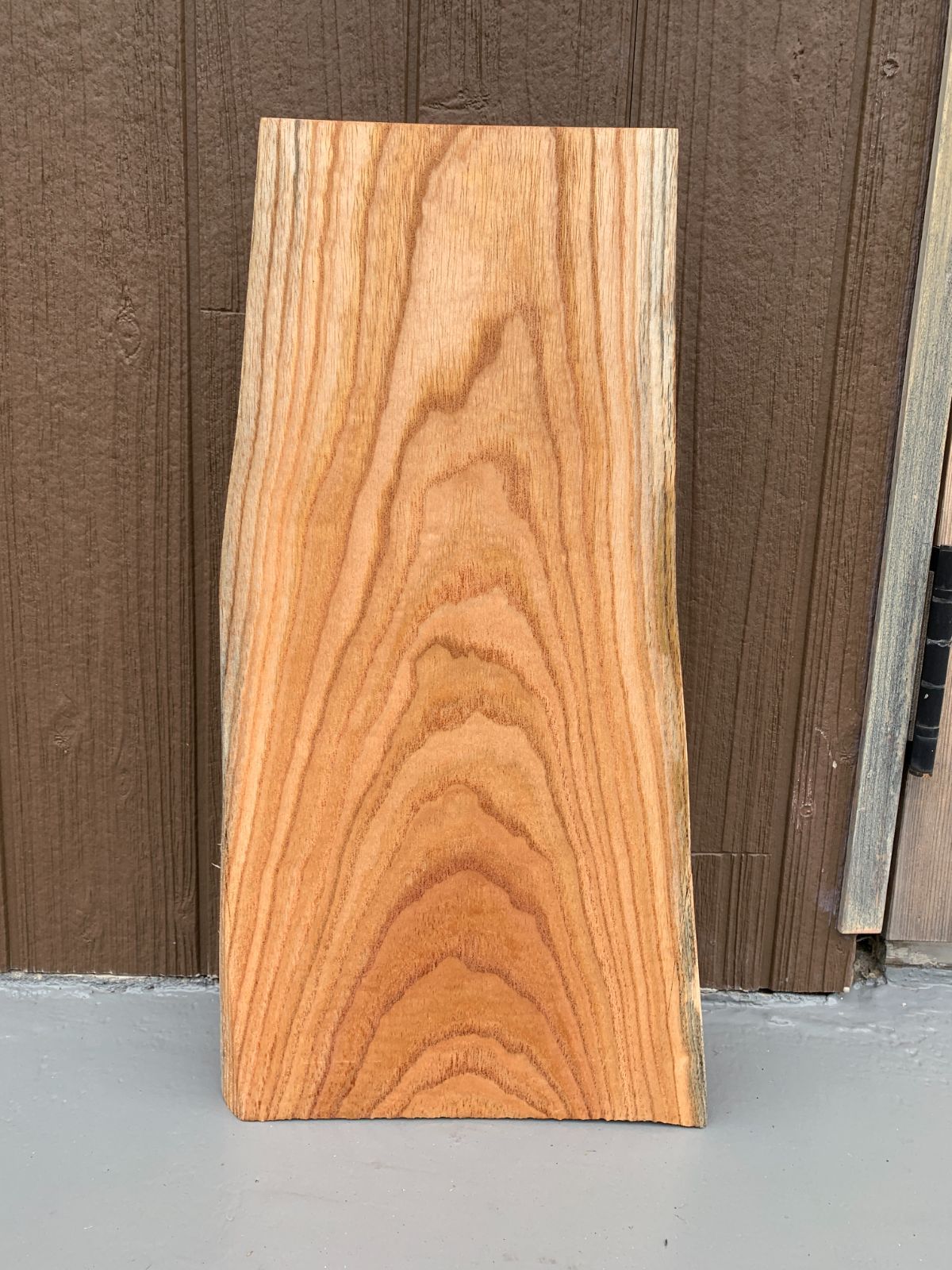 センダン 栴檀 一枚板 47cm 板材 木材[172] - ウエキ木工所 - メルカリ
