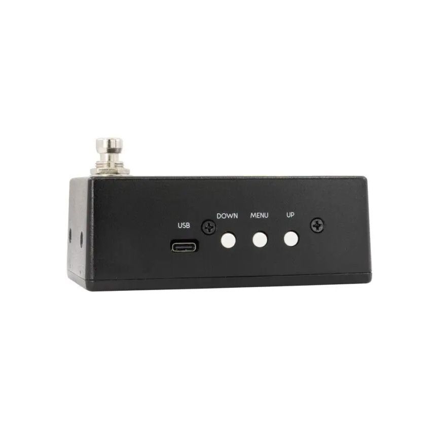 Walrus Audio