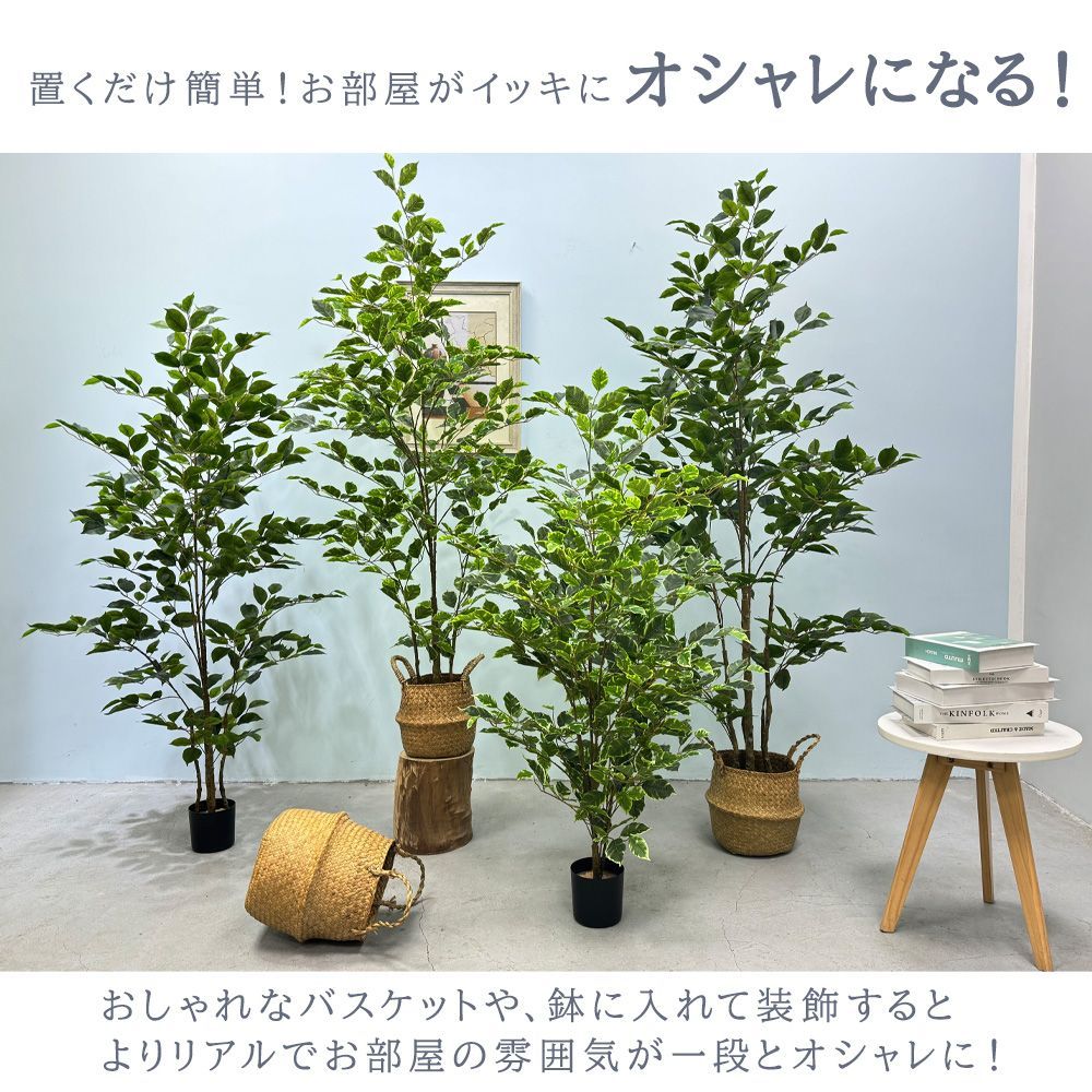 ベンジャミン お手入れ不要