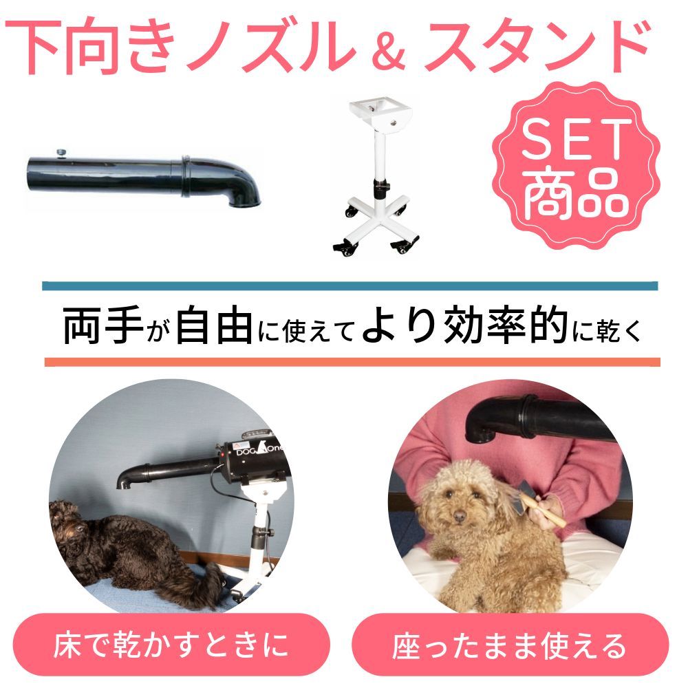 犬