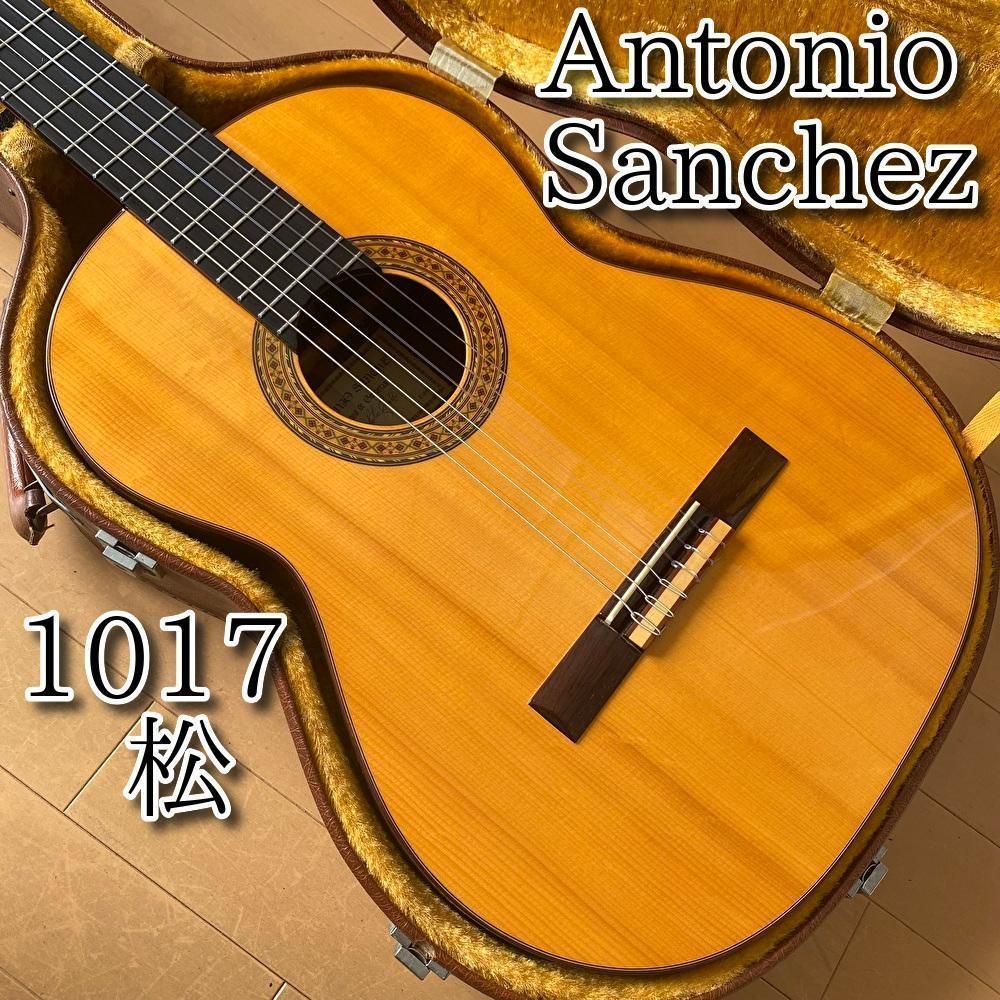 美品 Antonio Sanchez アントニオサンチェス 2000 松 最上位 - 器材