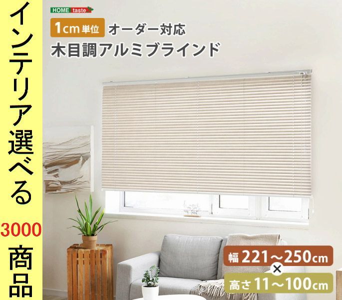 ジアス バーチカルブラインド 2200×650 ホワイト 数ヶ月使用美品