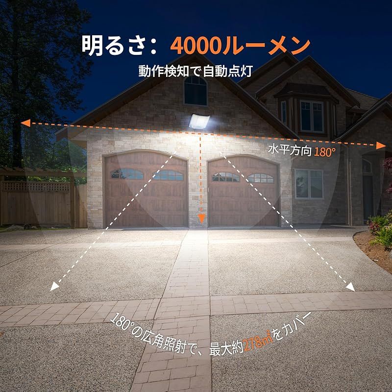 ダブルモーションセンサー