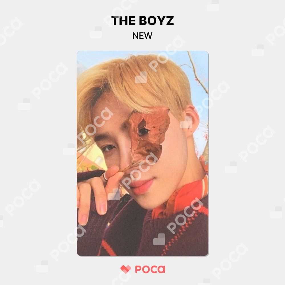 THE BOYZ ニュー MD フォトブック トレカ ドボイズ THE BOYZ ニュー トレカ [DAZED] BON, BOYZ, VOYAGE : THE BOYZ