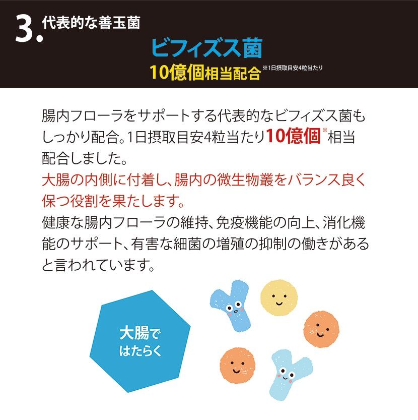 お試し3日分 リタヘルス5000 乳酸菌5000億個 酪酸菌200万個 ビフィズス菌10億個