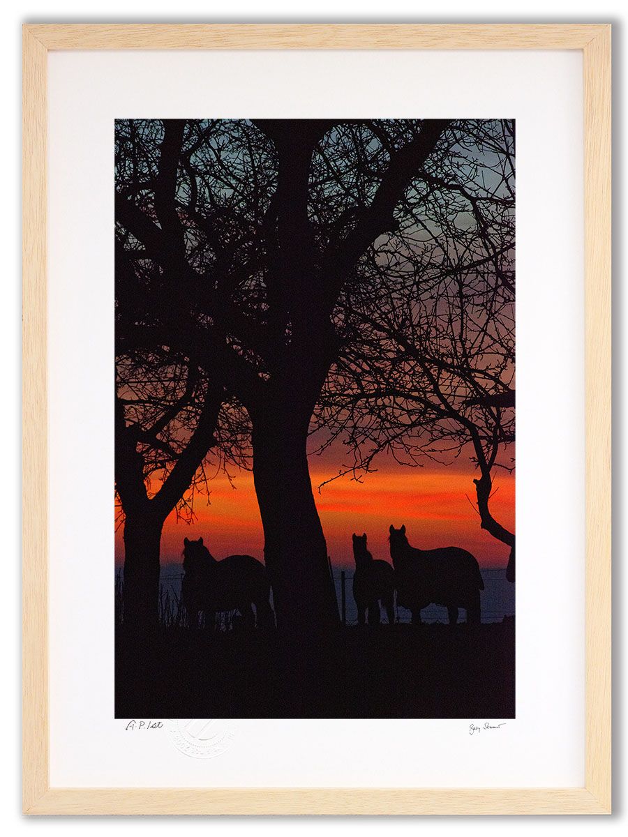 5月11日まで。Francfranc アートボード【⠀CHANEL⠀】 5月11日まで