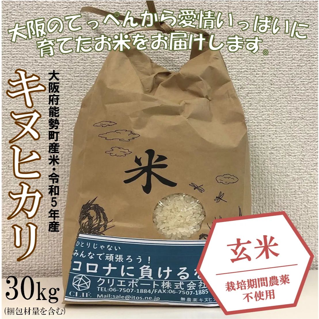 【令和5年産/栽培期間農薬不使用】大阪のてっぺんキヌヒカリ玄米30kg 大阪府能勢産